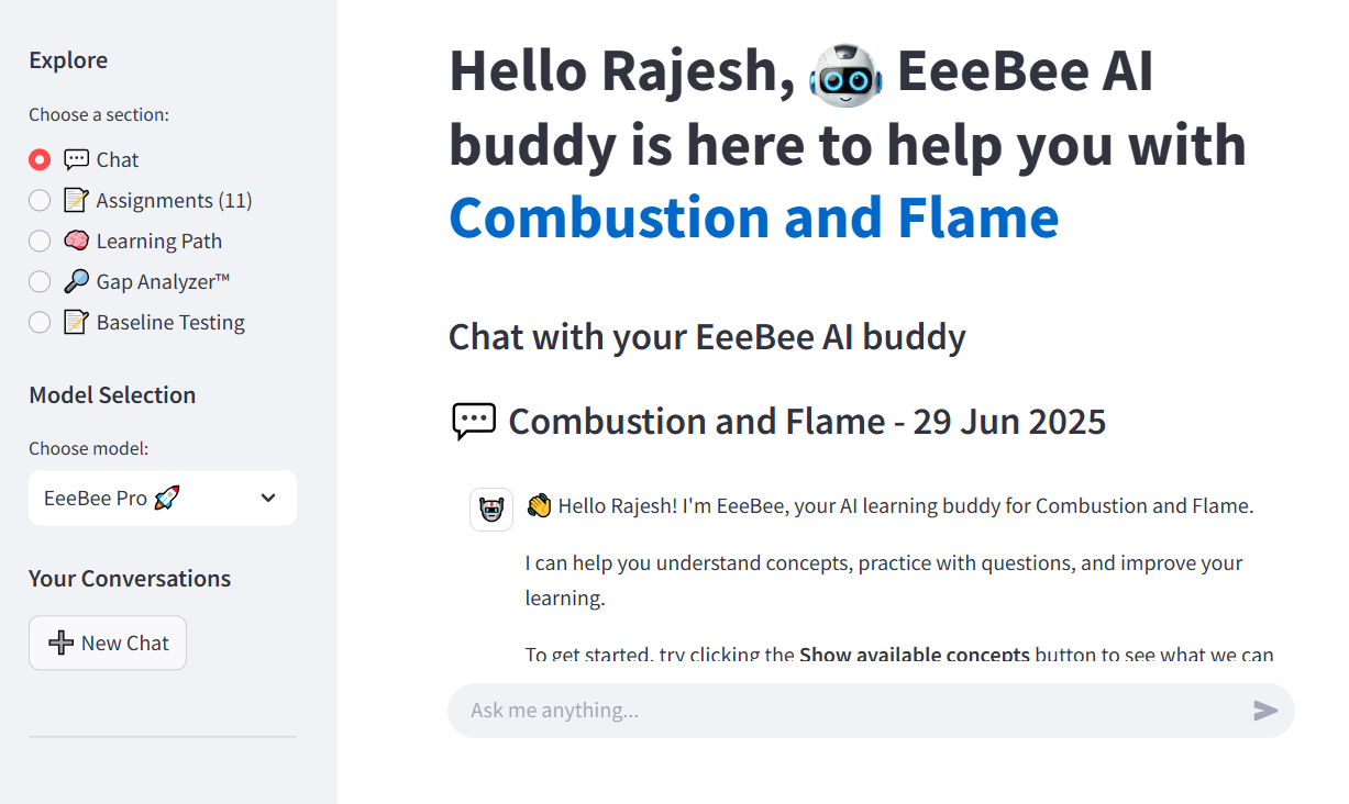 Student engaging with the AI tutor